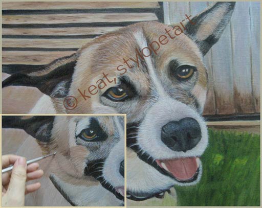 stylo pet art